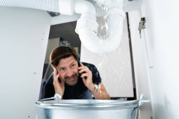 Best Local Plumber Services  in Milton, WA